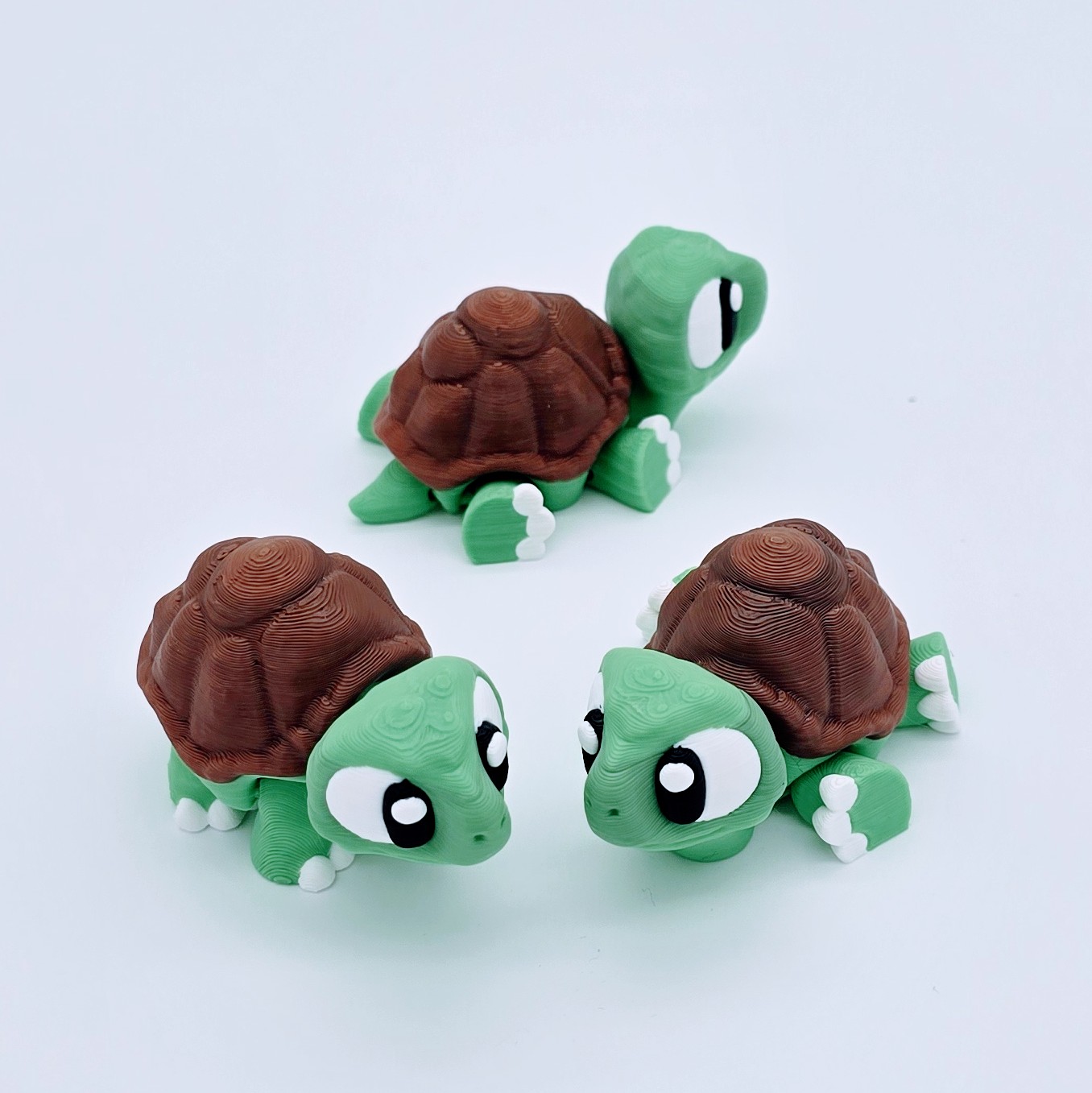 Schildkröte Mini Ansicht 3